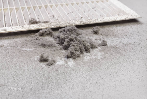 Best Home Air Vent Cleaning  in Elgin, TX