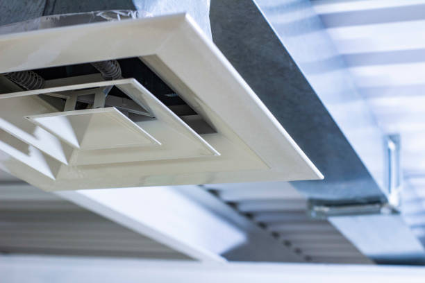 Best Professional Duct Cleaning Services  in Elgin, TX