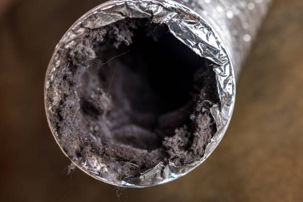 Best Emergency Air Duct Cleaning  in Elgin, TX
